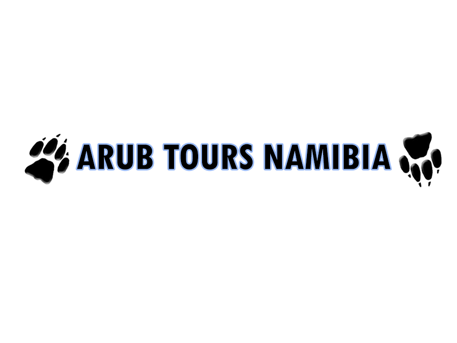 Arub Tours Namibia logo